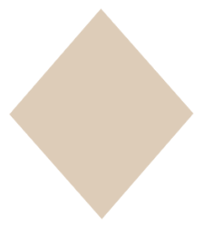 ProcurAdvisors Page icon